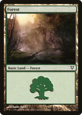 Floresta / Forest - Magic: The Gathering - MoxLand